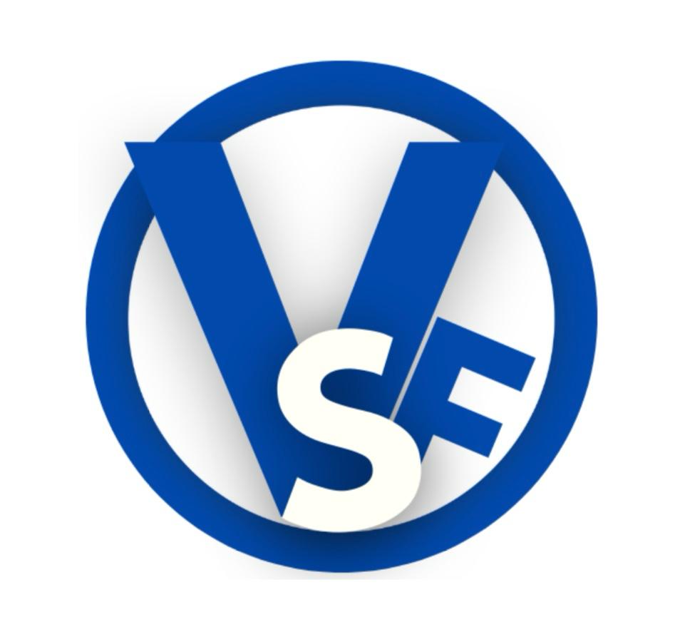 VSF Agency Logo